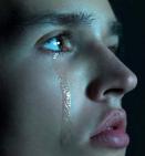 ������ ������� ���� ���������