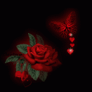 ������ ������� ���� ����