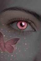 ������ ������� ���� ������