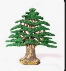 ������ ������� ����� ����